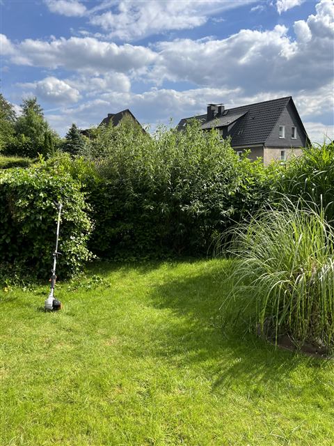 Rasenpflege Garten Castrop-Rauxel